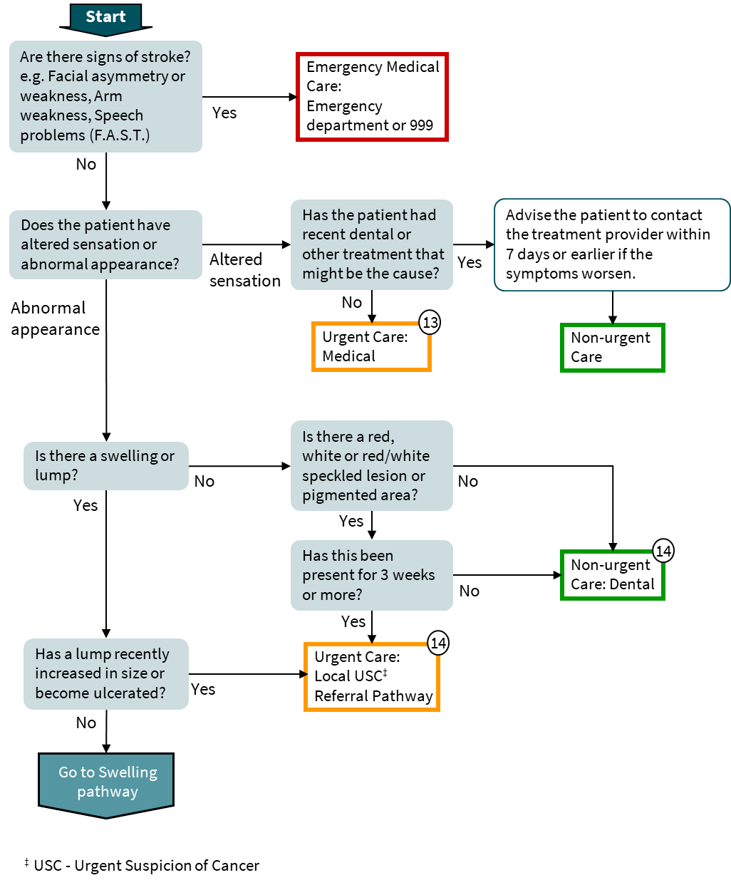 Altered sensation or abnormal appearance in the head and neck pathway flowchart